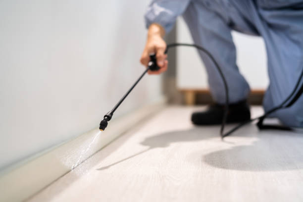 Licensed Pest Control service in Caledonia, MS - Show Me Pest Control