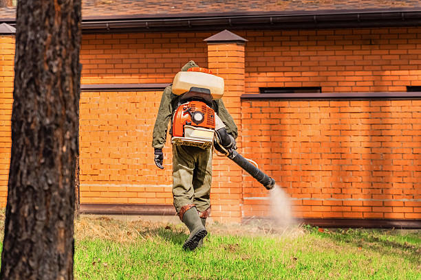 Bed Bug Clearance Verification and Documentation in Caledonia